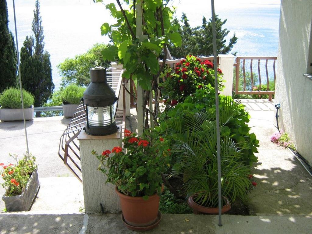 Delfin Appartement *
